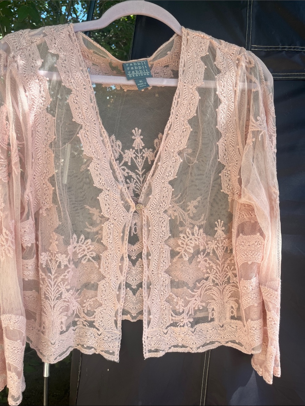 Rabbit Rabbit Rabbit Sheer Lace Cardigan in Blush Pink